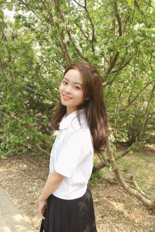 红楼春上春快播